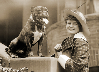 Young girl and her Bull Terrier c.1915 (b/w photo)