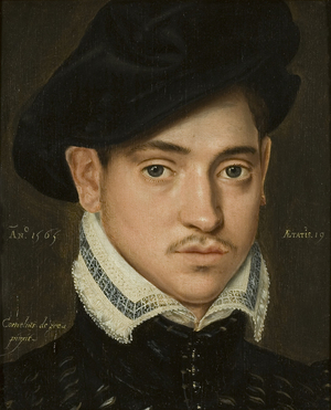 Portrait of a Young Man, 1565 (oil on panel)