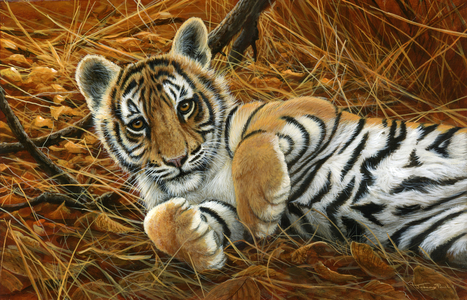 Tiger cub, 2014 (acrylic on board)