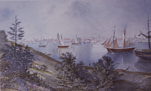 Detroit, Michigan, USA, 1872 (colour litho)