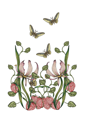 Butterfly Scene, 2023 (pencil, ink, digital)