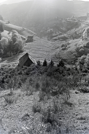 An excursion to the Black Forest, Germany 1930s (b/w photo)
