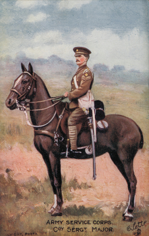 Army Service Corps, Company Sergeant Major (colour litho)