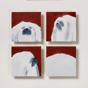 Pekingese, 2020 (oil on canvas)