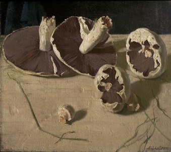 Mushrooms, 1927 (oil on canvas)