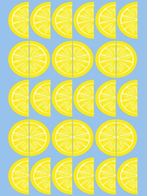 Lemon Slice, 2019