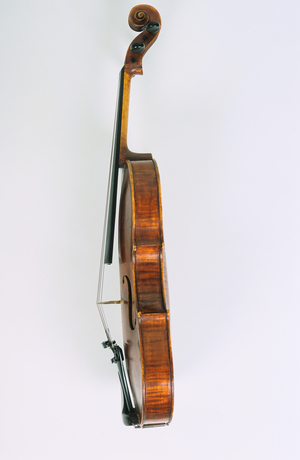 Close-up side view of