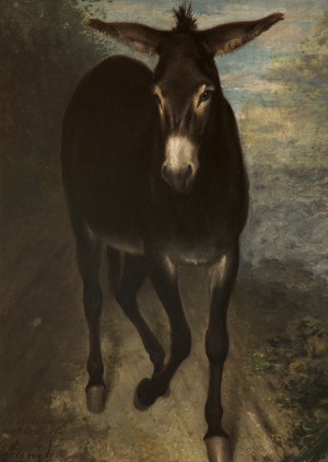 A Sicilian Ass (oil on canvas)