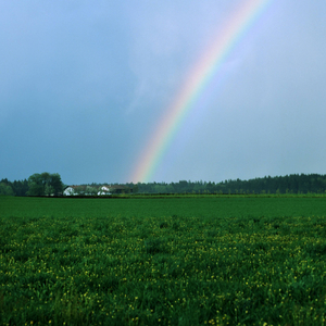 Meadow Rainbow, 1960 (photo)