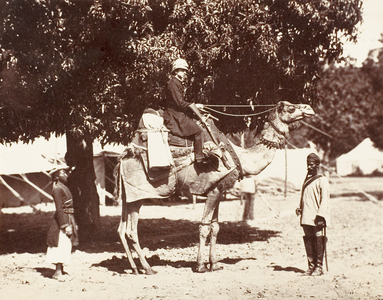 European man sitting on a camel, c.1860 (photogravure)