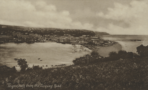 Teignmouth from the Torquay Road (b/w photo)
