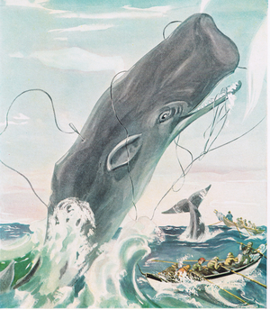Sperm Whale-harpoon lines harness