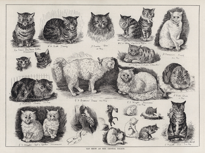 Cat Show at the Crystal Palace (engraving)