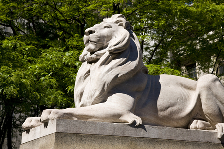 Lion statue outside the New York Public Library (photo)