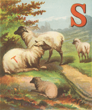 S: S for the Sheep, with their coats of soft wool; They stand in the meadows so pleasant and cool.,1870 (illustration)