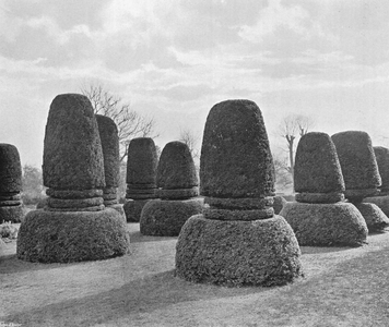 The Twelve Apostles (b/w photo)