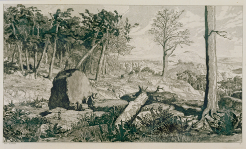 Landscape with trees, 1883 (engraving)