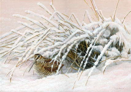 Winter woodcock, 2014, acrylic on board
