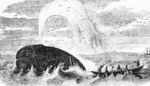 Whaling in the mid 19th century
