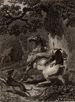 William II called Rufus (the Red) (1056-1100)