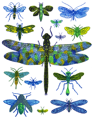 Dragonfly, 2016 (screen print)