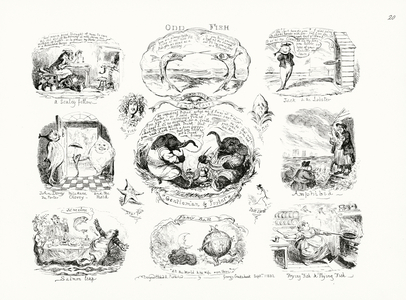 Odd Fish (engraving)
