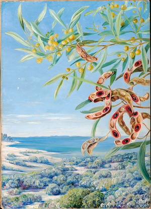 Various species of Acacia and other shrubs, good for binding the sandy shore at Fremantle, West Australia, 1880-81 (oil on board)