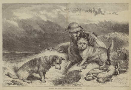 Rabbit Netting (engraving)