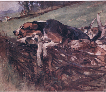 See 'ow they top the 'edge, from Mr Jorrocks' Lectors published by Hodder & Stoughton, 1910 (colour litho)