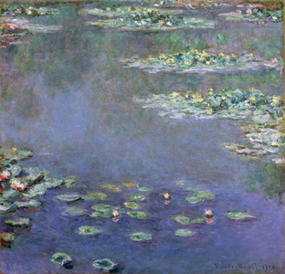 Nympheas, 1904 (oil on canvas)