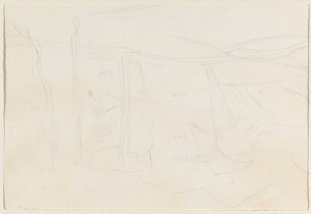 The Great Oak, Copford Place, Essex (pencil on paper)
