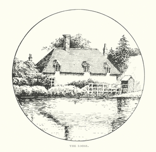 The Loose (litho)