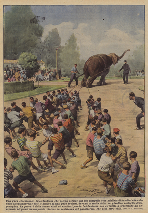 An exceptional race (colour litho)