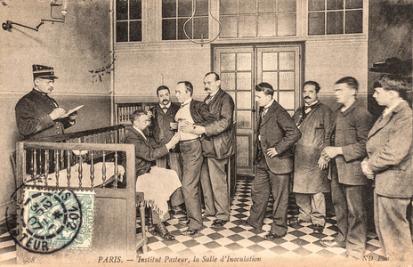 Inoculation, Institut Pasteur, Paris, France, c.1905 (postcard)