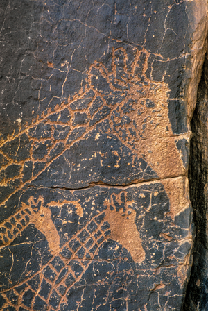 Giraffes - Rock art, Tassili n'Ajjer, Algeria, 2000 (photo)