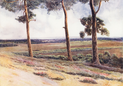 Surrey: View from Staple Hill (colour litho)