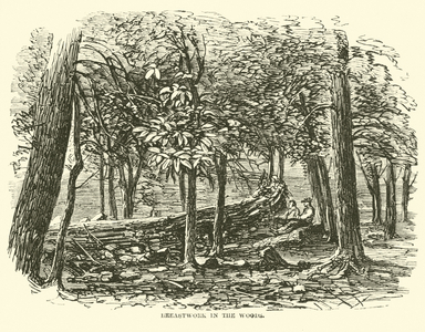 Breastwork in the woods, July 1863 (engraving)