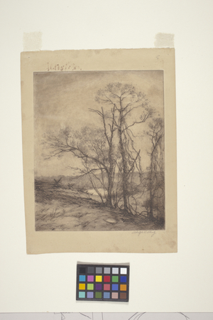 Landscape, 1919 (etching)