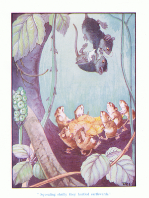 Squealing Shrilly, they hurtled earthwards, illustration from Patsy Mouse pub. by Ward Lock & Co Ltd 1947 (colour litho)