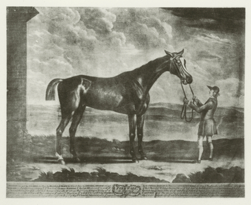 Firetail, foaled 1769 (b/w photo)