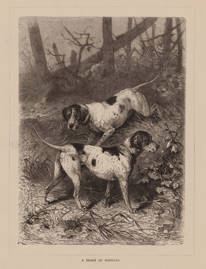 A Brace of Pointers (engraving)