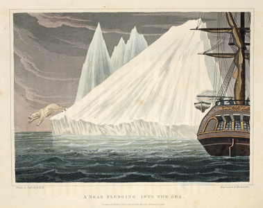 A bear plunging into the sea, illustration from 'A Voyage of discovery...', 1819 (hand-coloured engraving)					
