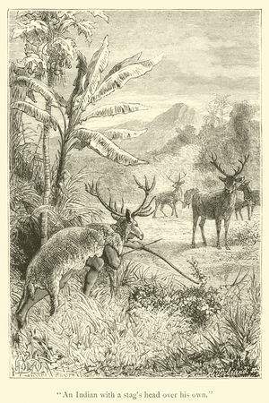 "An Indian with a stag's head over his own" (engraving)