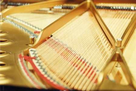 Grand Piano. Interior view of strings & soundboard