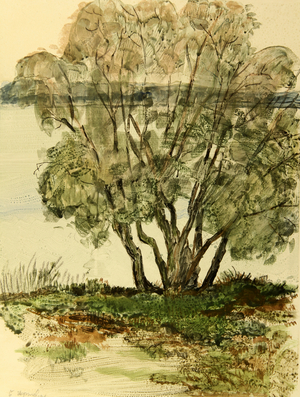 Tree by the Oka River, 1972 (monotype)
