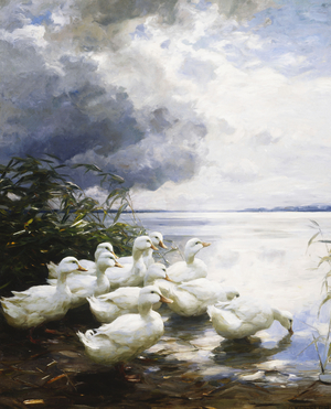 Ducks at the Lake's Edge, (oil on canvas)