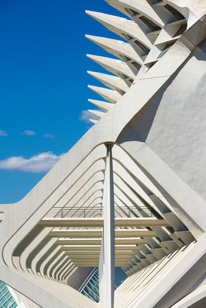 Detail of El Museu De Les Ciencies Principe Felipe in Ciudad De Las Artes Y Las Ciencias (City of Arts and Sciences), Valencia, Spain (photo)