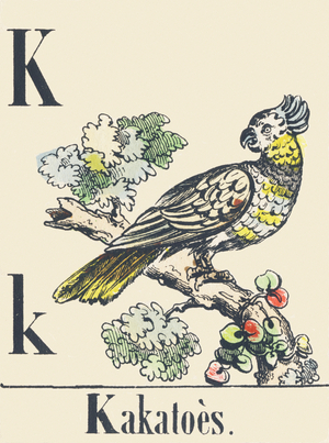 K: Kakatoos, c1880-1900 (illustration)