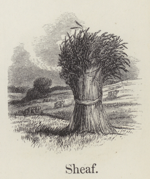 Sheaf (engraving)