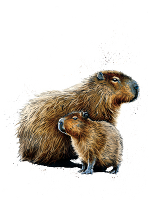 The Capybaras on White, 2019, (pen and ink)